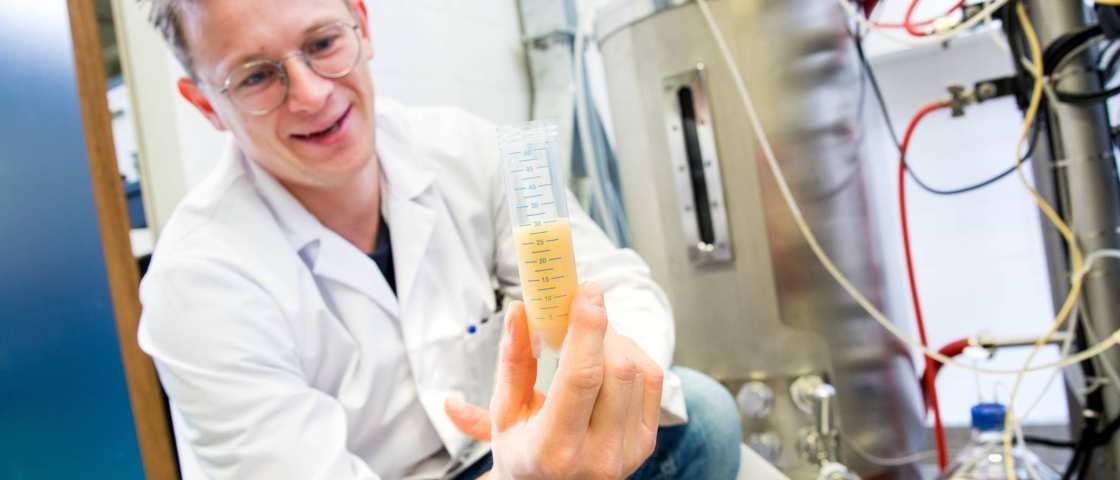 Werken met bioreactor in HAN BioCentre