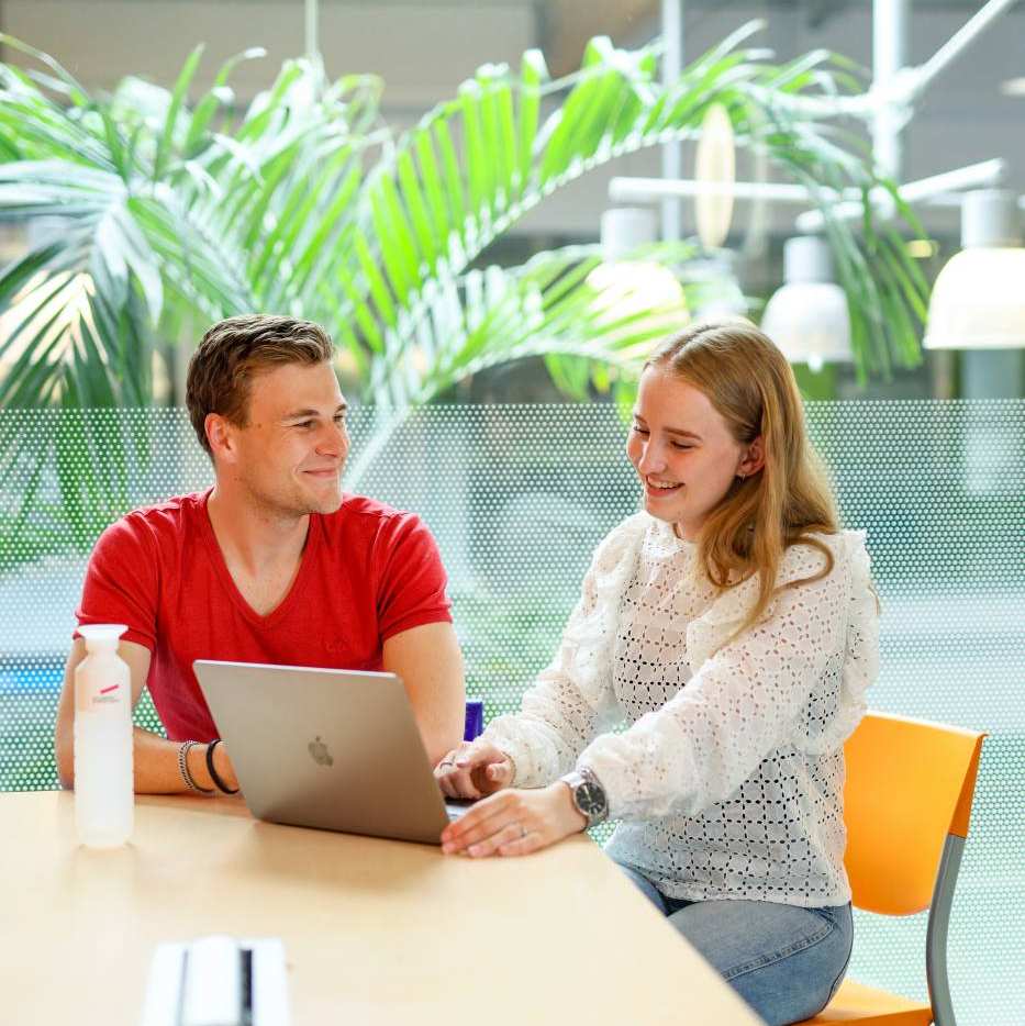 Human Resource Management HRM, foto 3627, studenten samenwerken in zwevend hokje