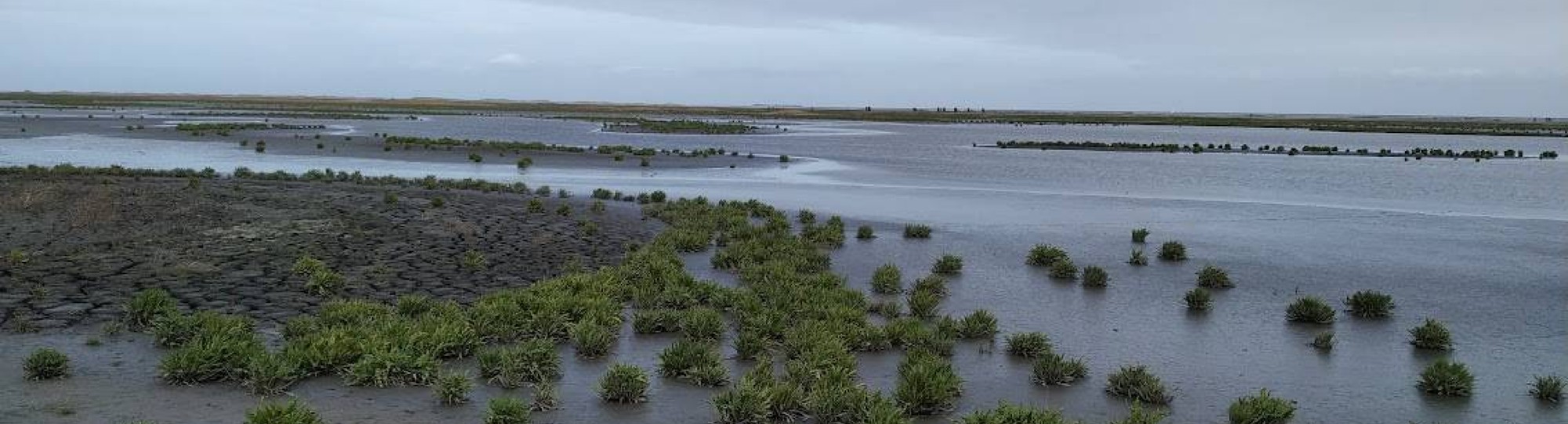 Rivierenbeheer op de Markerwadden