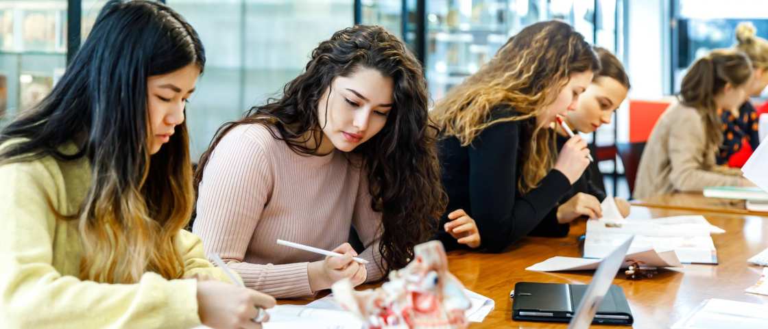 studenten studeren in tweetallen