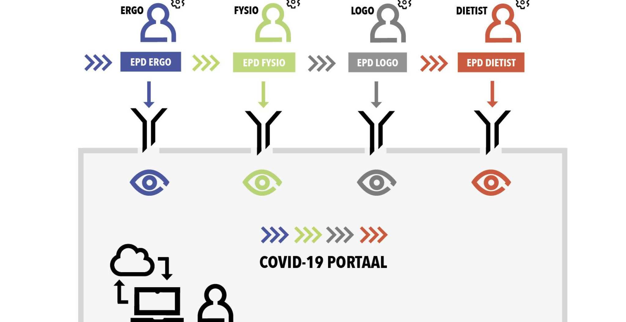 portaal. Fysiotherapie. nieuwe infographic