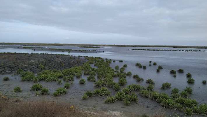 Rivierenbeheer op de Markerwadden