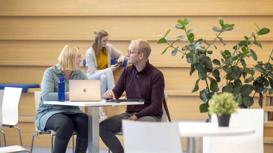 2 studenten aan het overleggen, 1 student zit op de achtergrond op een trap op haar mobiel.