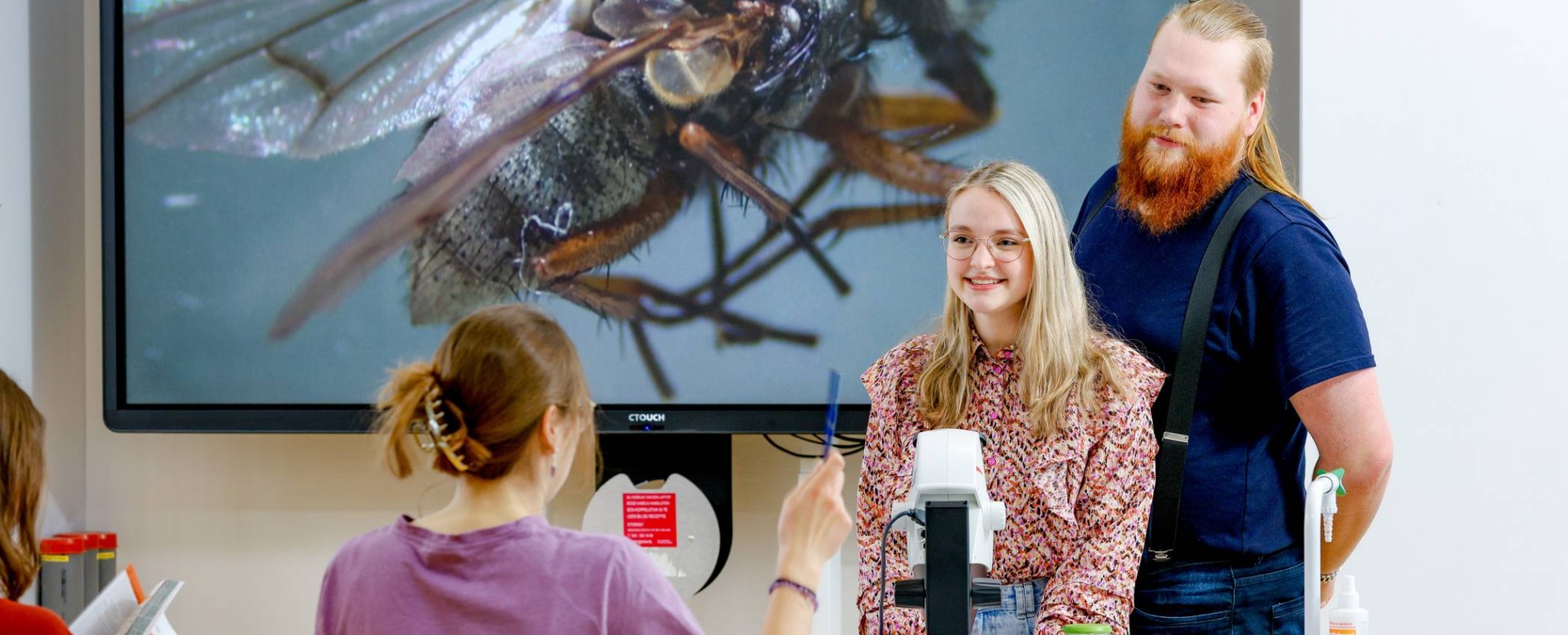 Twee studenten staan samen voor de klas. Op het digibord staat een vlieg geprojecteerd.