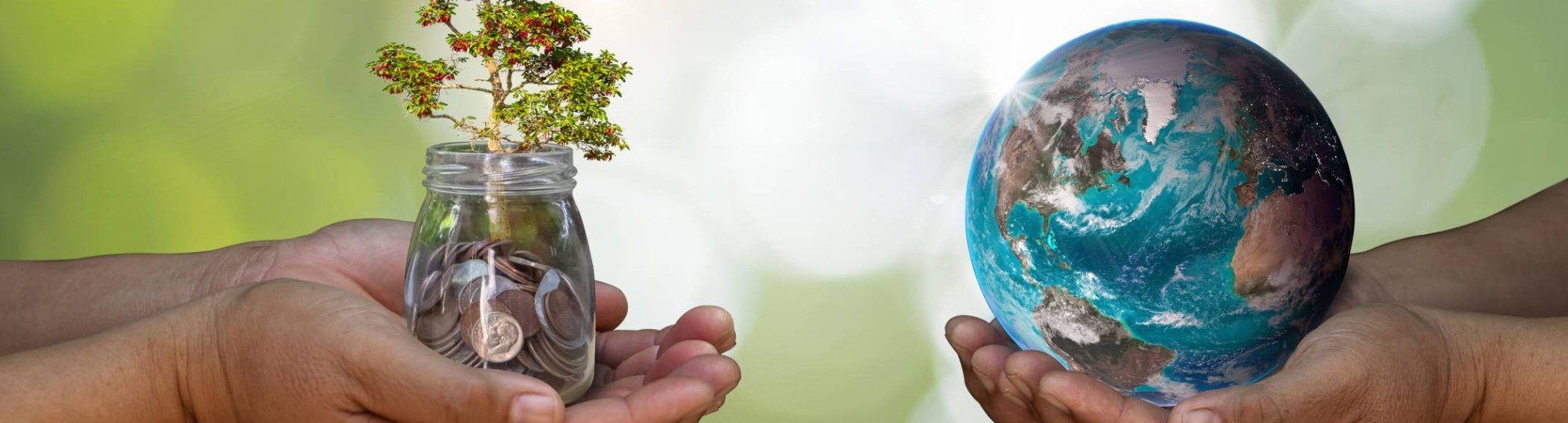 twee handen met wereldbol en glas met geld en-plant