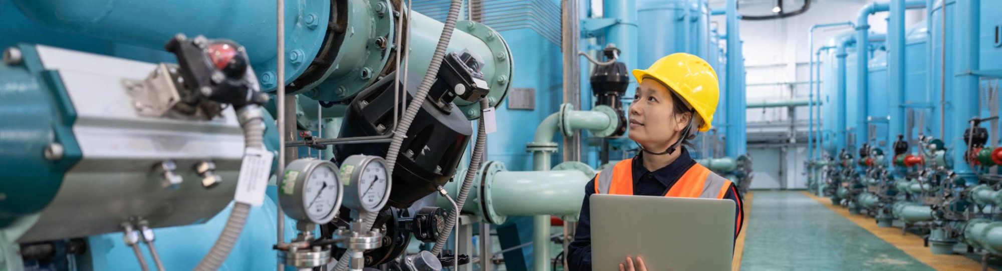 Vrouwelijke engineer met laoptop in chemische fabriek