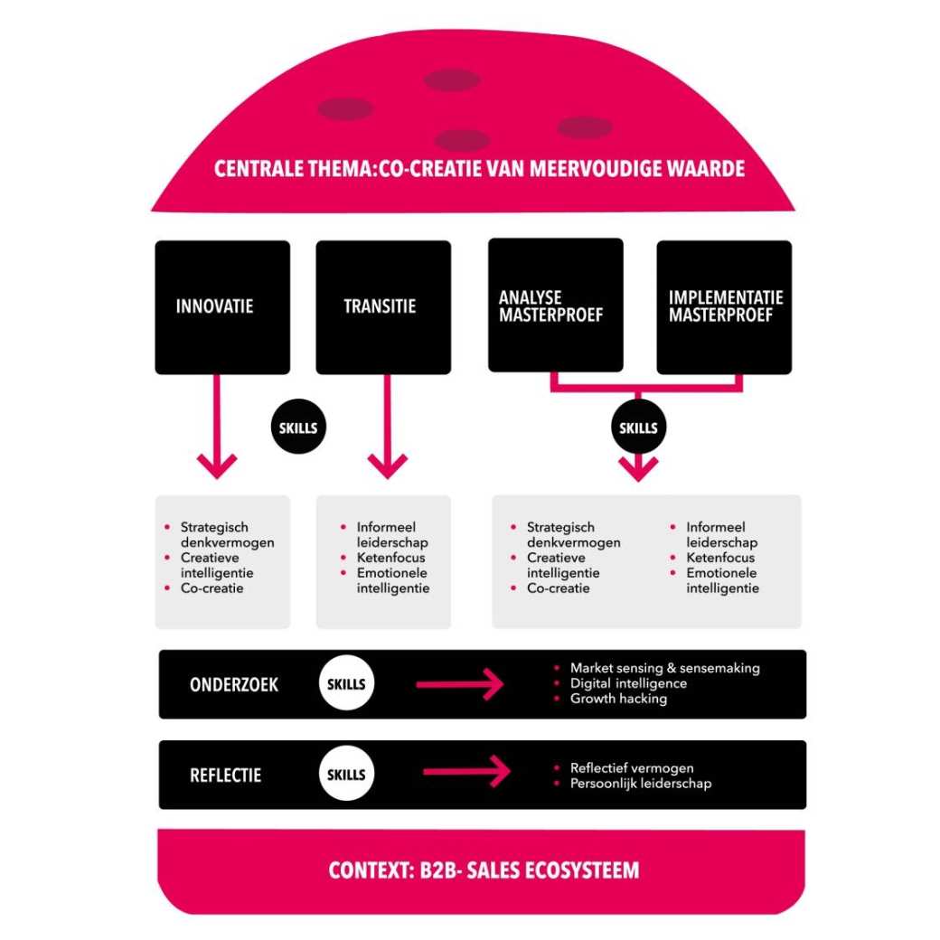 Visuele weergave opbouw master Business Sales