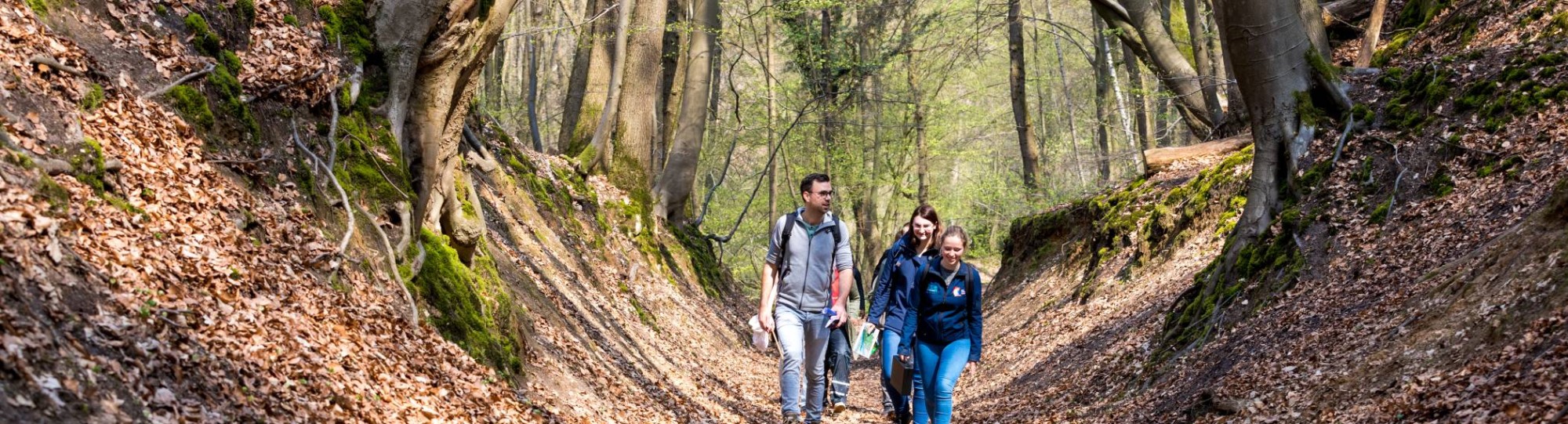 Biologie studenten wandelen door het bos