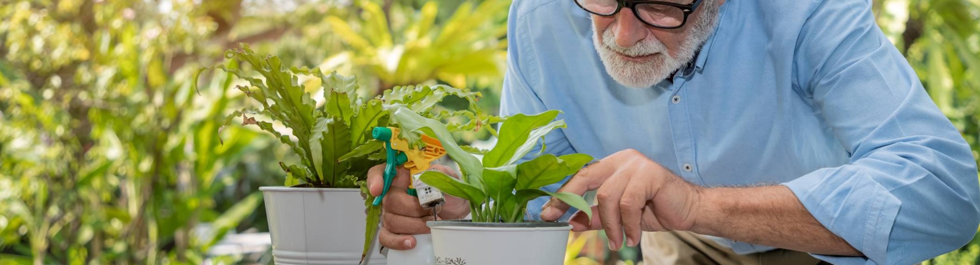 Oudere man werkt in tuin