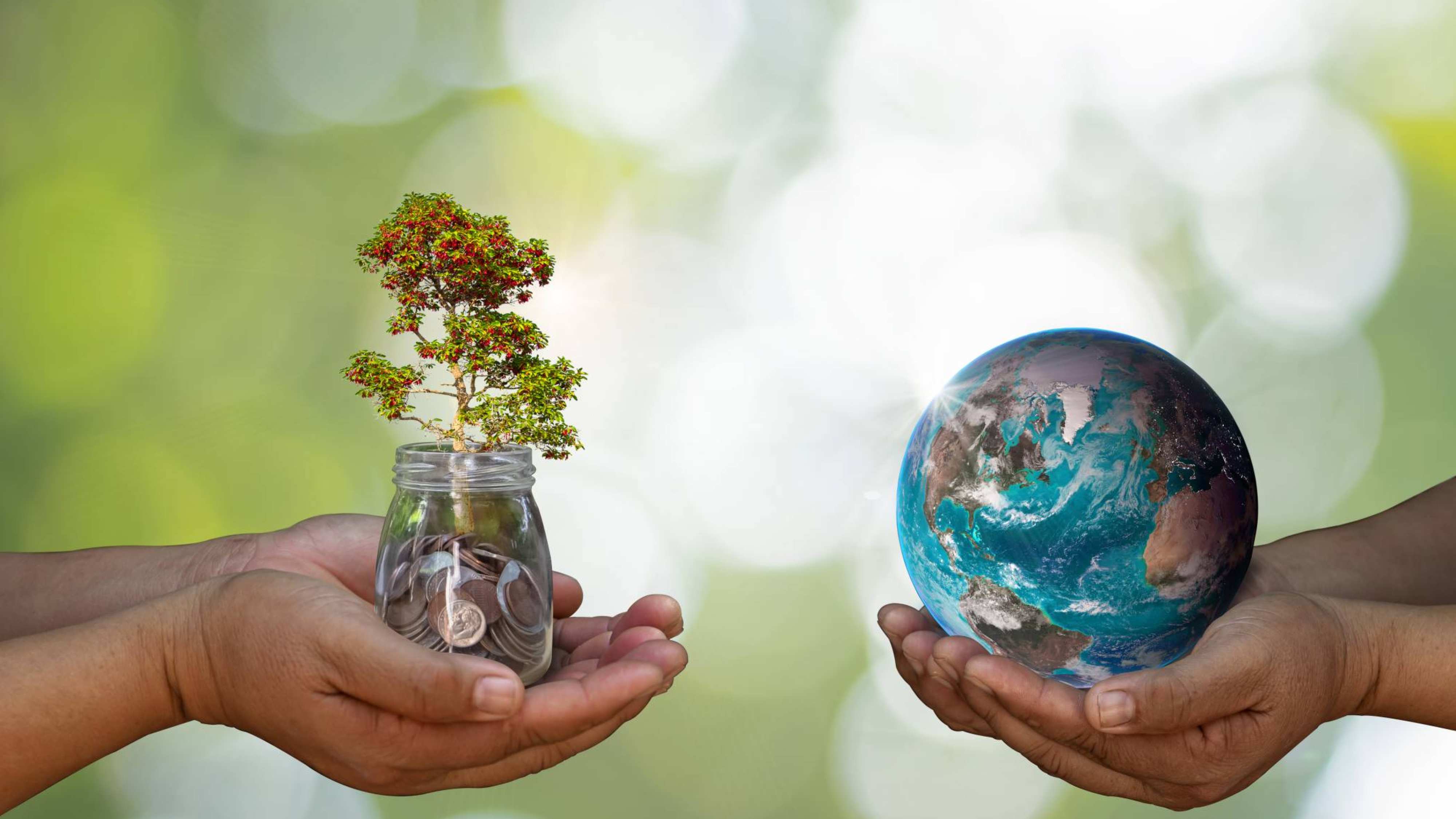 twee handen met wereldbol en glas met geld en-plant