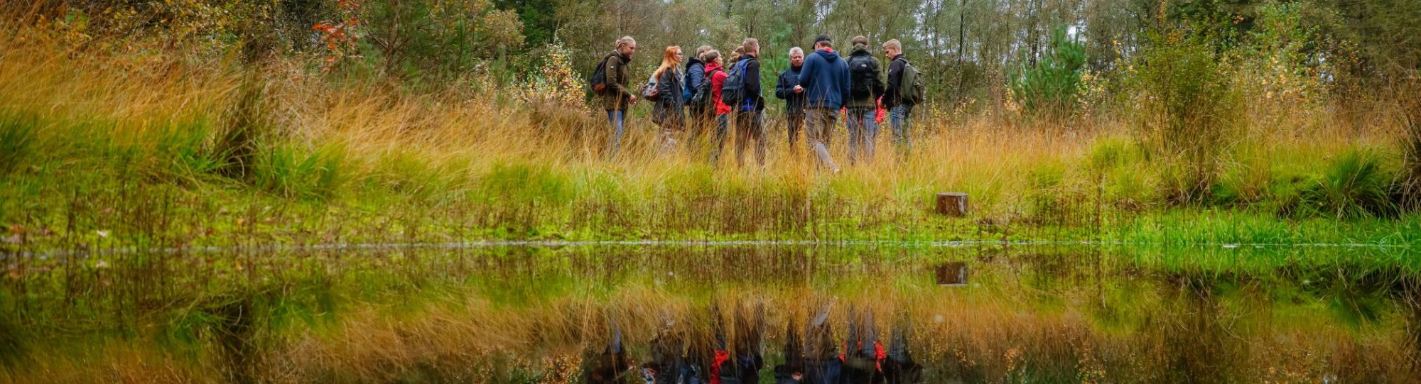 en docenten in het bos liggend