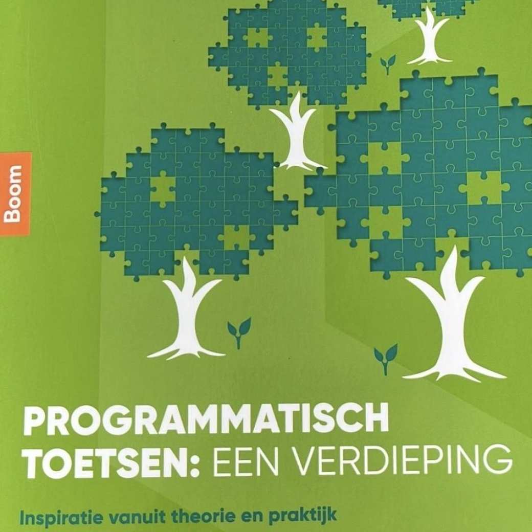 boek Programmatisch toetsen: een verdieping