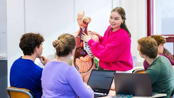 Student wijst op een anatomiepop, legt uit aan medestudenten. 