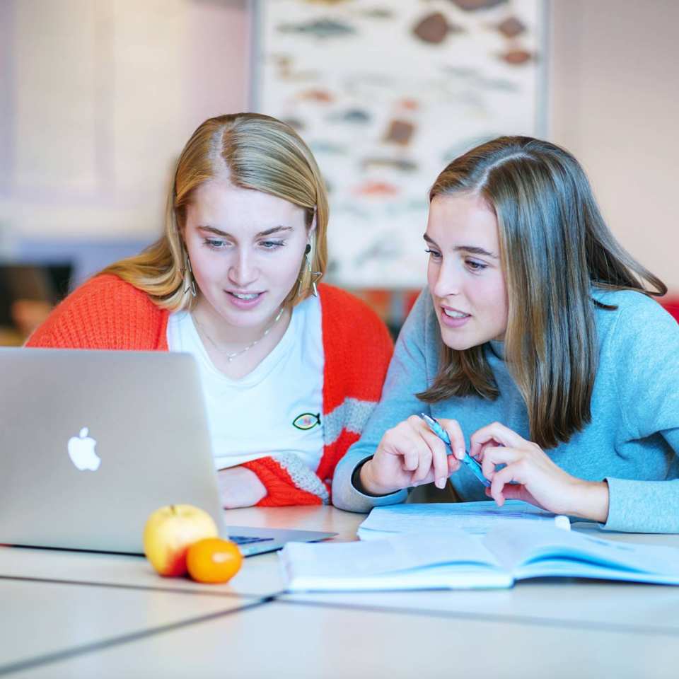 samen achter laptop aan de studie