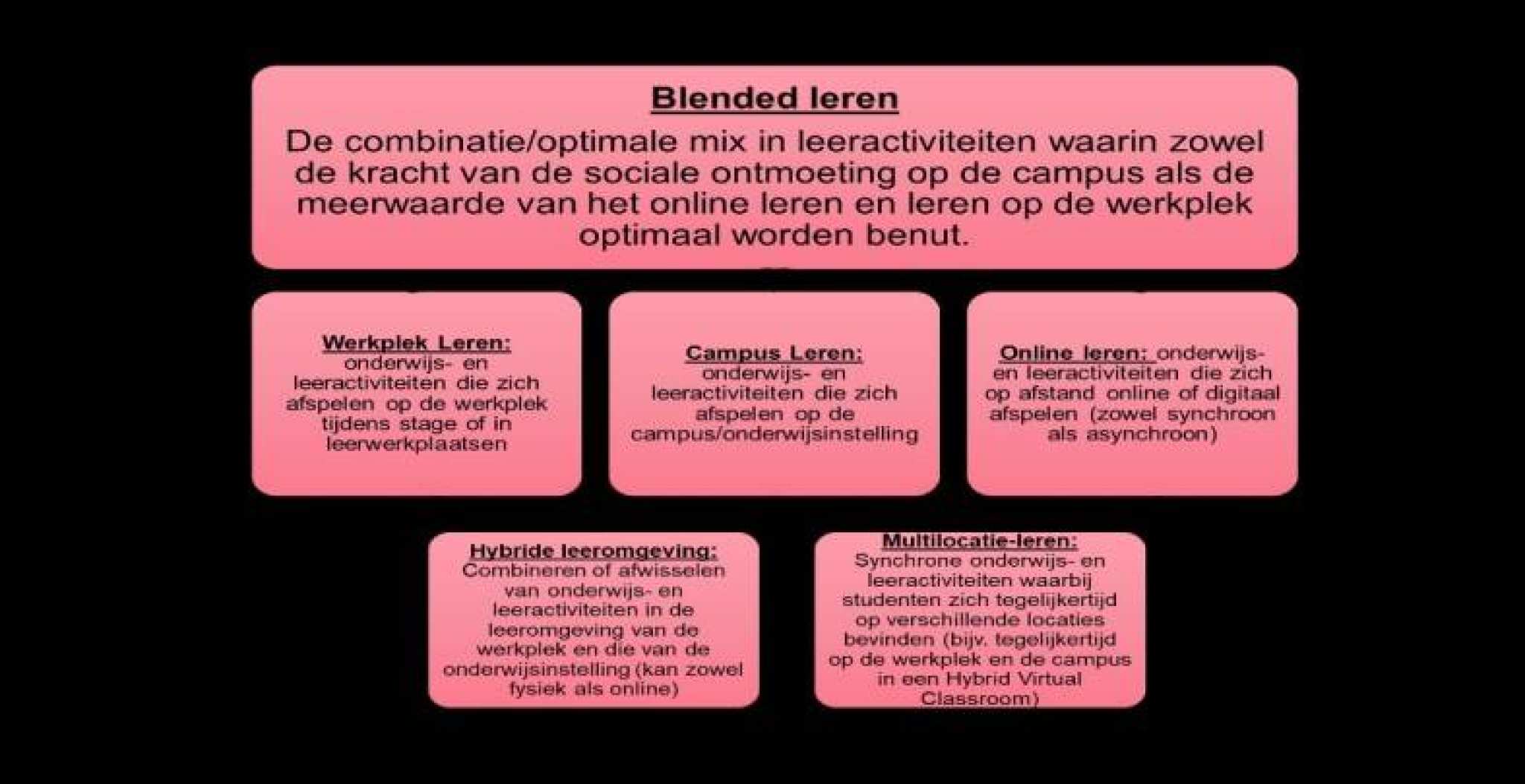 Overzicht blended leren met ondersteunende pijlers