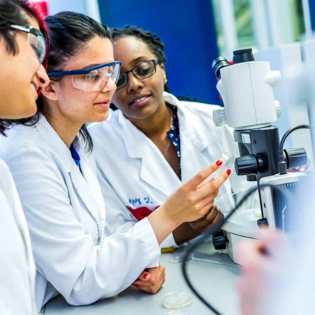 en medisch laboratoriumonderzoek student samenwerken laboratorium