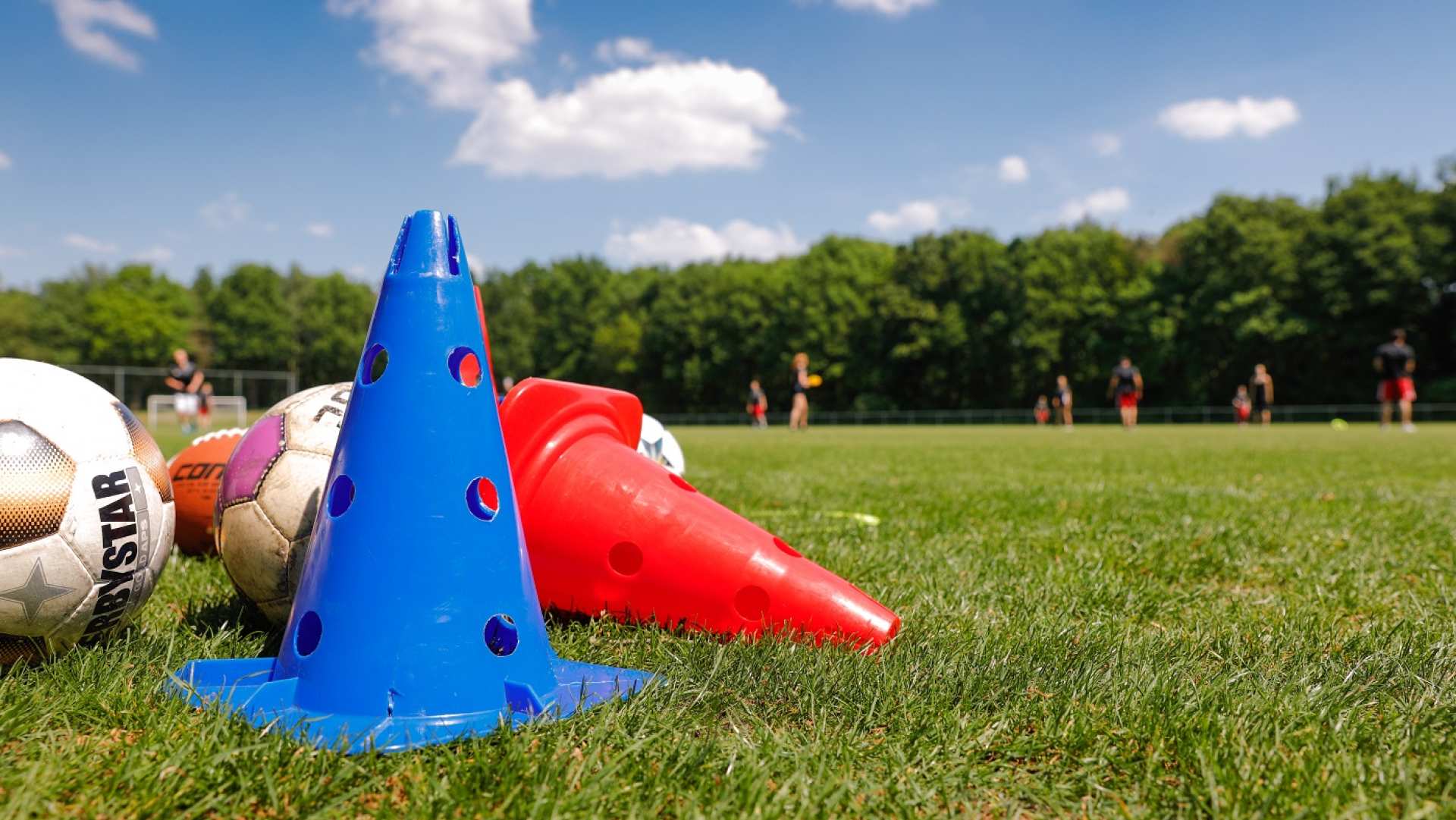 sport sportkunde en alo studenten en docenten op sportveld en gymzaal